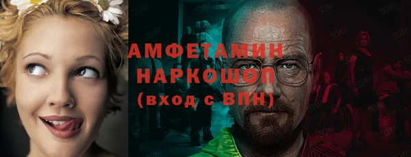 стафф Алзамай