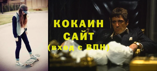 стафф Алзамай
