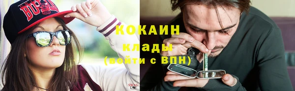 стафф Алзамай