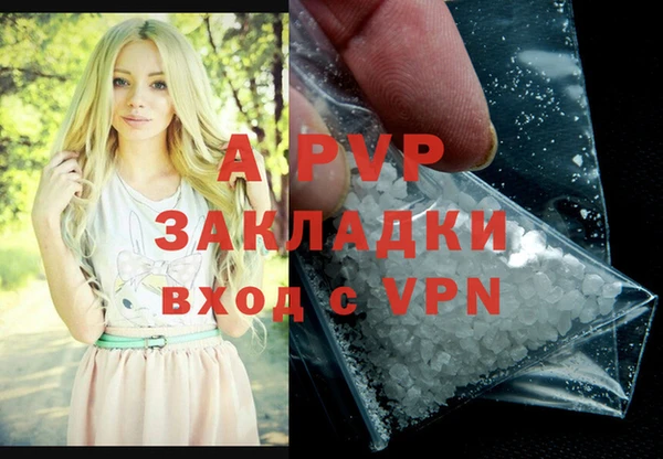 стафф Алзамай