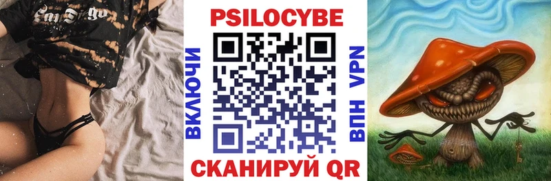 Псилоцибиновые грибы Psilocybe  Чебоксары 
